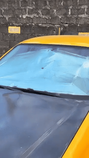 Car Windshield Sun Umbrella
